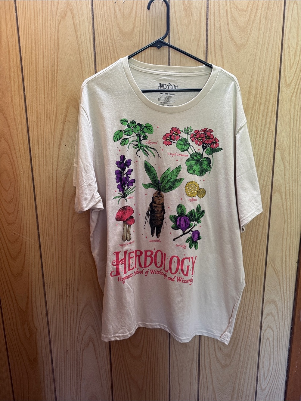 Warner Bros. Herbology Graphic Tee in Cream with Green and Pink Accents